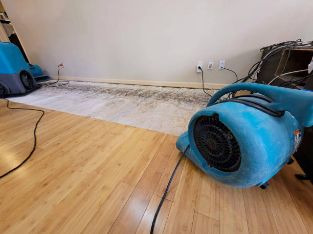 Professional Water Damage Repair technician working in Colfax, IL